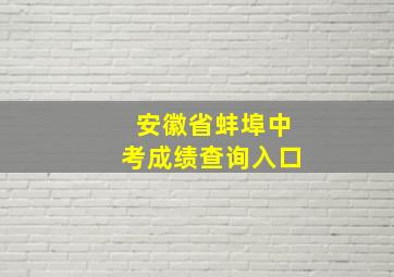 安徽省蚌埠中考成绩查询入口