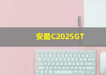 安踏C2025GT