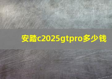 安踏c2025gtpro多少钱