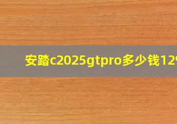 安踏c2025gtpro多少钱1299