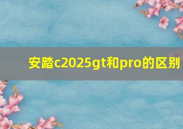 安踏c2025gt和pro的区别