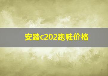 安踏c202跑鞋价格