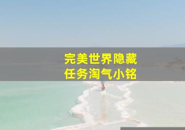 完美世界隐藏任务淘气小铭