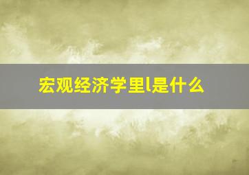 宏观经济学里l是什么