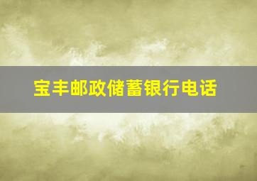 宝丰邮政储蓄银行电话