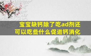 宝宝缺钙除了吃ad剂还可以吃些什么促进钙消化