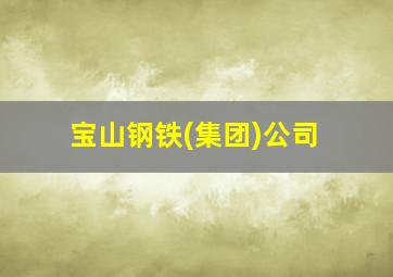 宝山钢铁(集团)公司