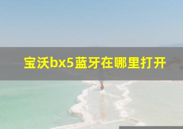 宝沃bx5蓝牙在哪里打开