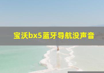 宝沃bx5蓝牙导航没声音