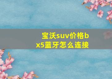 宝沃suv价格bx5蓝牙怎么连接