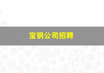 宝钢公司招聘