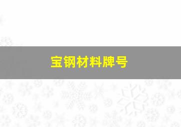 宝钢材料牌号