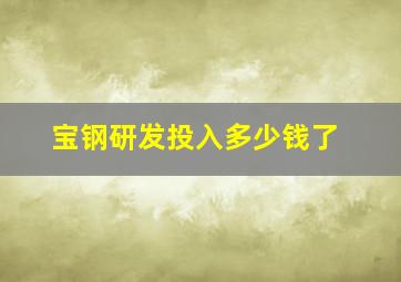 宝钢研发投入多少钱了