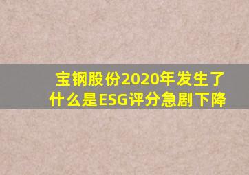 宝钢股份2020年发生了什么是ESG评分急剧下降