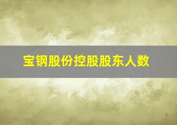 宝钢股份控股股东人数