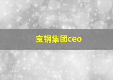 宝钢集团ceo