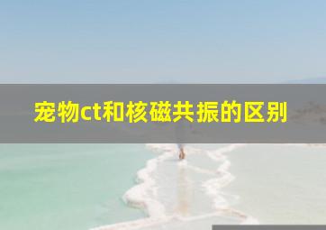 宠物ct和核磁共振的区别