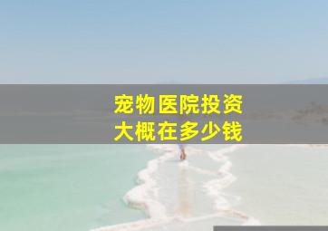 宠物医院投资大概在多少钱