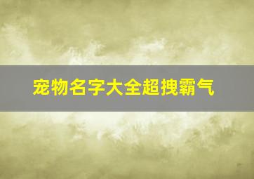 宠物名字大全超拽霸气