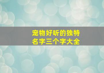 宠物好听的独特名字三个字大全