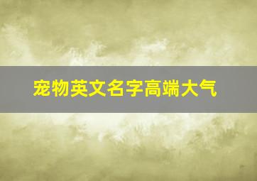 宠物英文名字高端大气