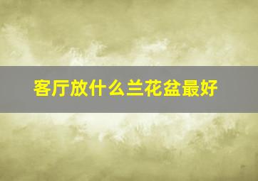 客厅放什么兰花盆最好