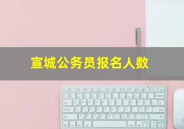 宣城公务员报名人数