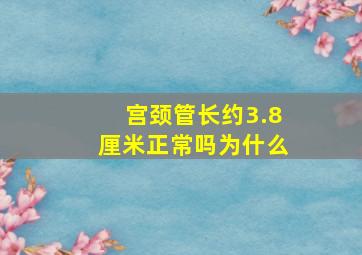 宫颈管长约3.8厘米正常吗为什么