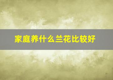 家庭养什么兰花比较好