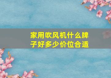 家用吹风机什么牌子好多少价位合适