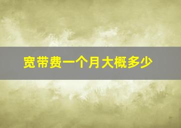 宽带费一个月大概多少