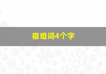 宿组词4个字