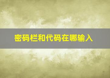 密码栏和代码在哪输入