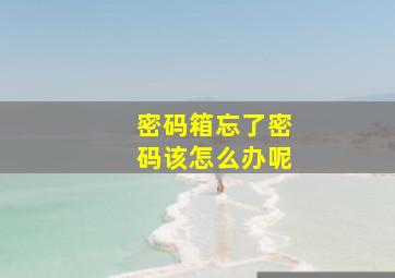 密码箱忘了密码该怎么办呢