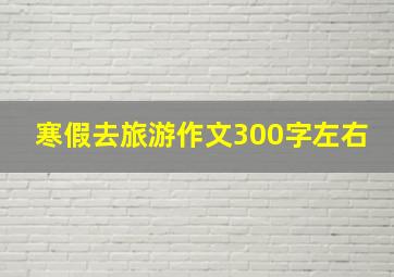 寒假去旅游作文300字左右