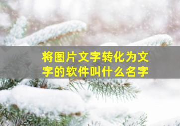 将图片文字转化为文字的软件叫什么名字