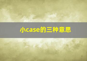 小case的三种意思