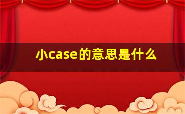 小case的意思是什么