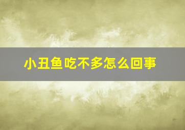 小丑鱼吃不多怎么回事