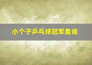 小个子乒乓球冠军是谁