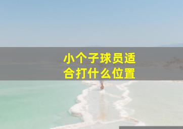 小个子球员适合打什么位置