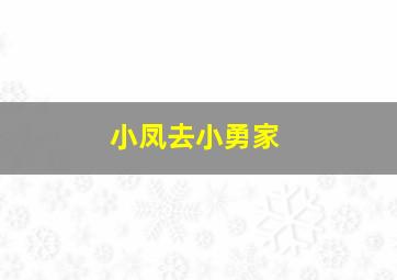 小凤去小勇家