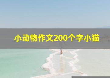 小动物作文200个字小猫