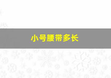 小号腰带多长