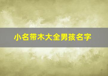 小名带木大全男孩名字