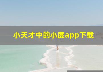 小天才中的小度app下载