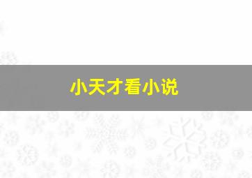 小天才看小说