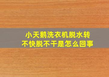 小天鹅洗衣机脱水转不快脱不干是怎么回事