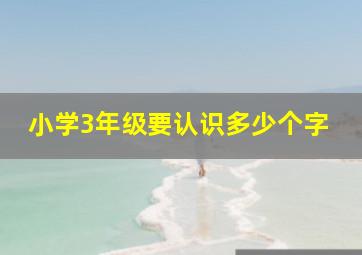 小学3年级要认识多少个字