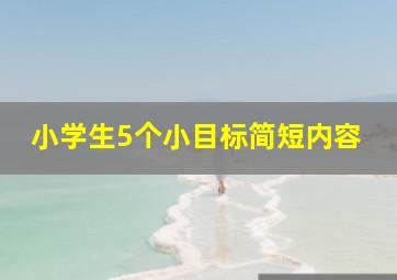 小学生5个小目标简短内容